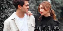 مسلسل طائر الرفراف: تحولات درامية ومفاجآت تصنع أسطورة درامية خالدة
